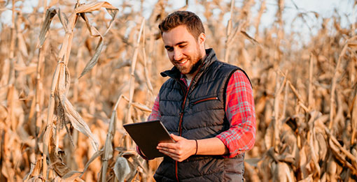 Farmer working on tablet in field