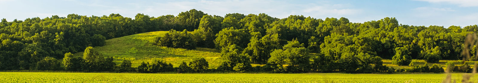 Green hill setting in Missouri